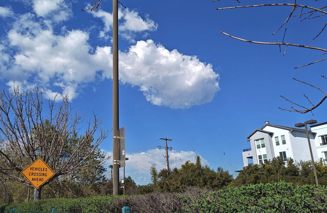 Photo of a fish shaped cloud floating in a summer sky.